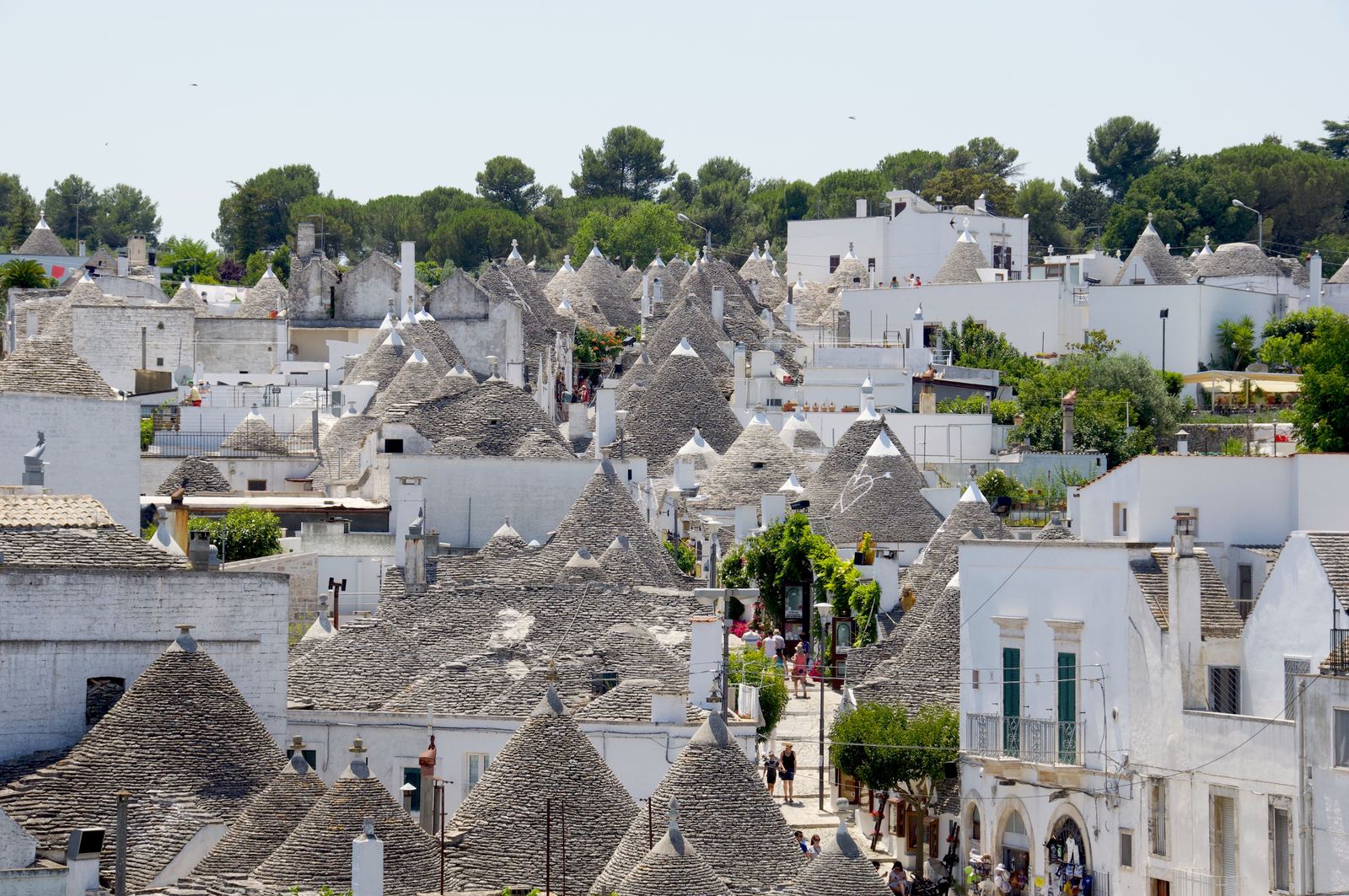 Panorama dei trulli di Alberobello
